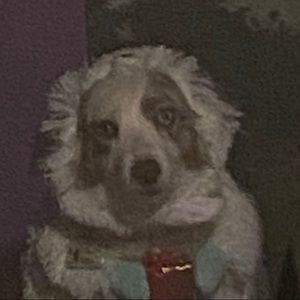 Meet your Posher, Nickole